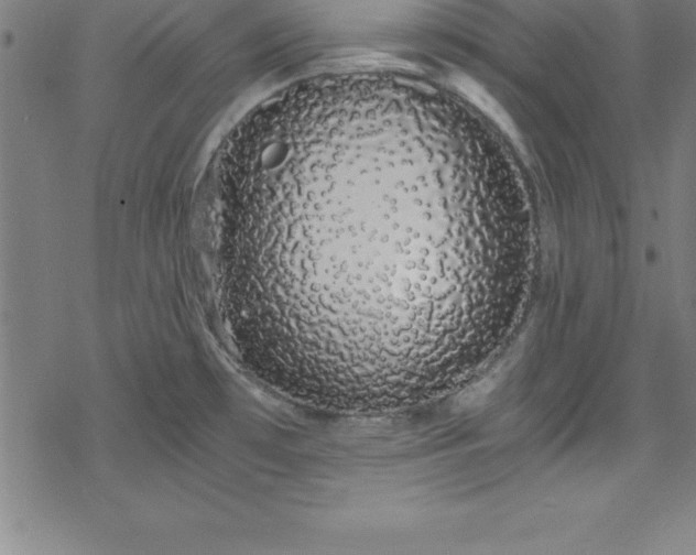 X0000078261481200611101023