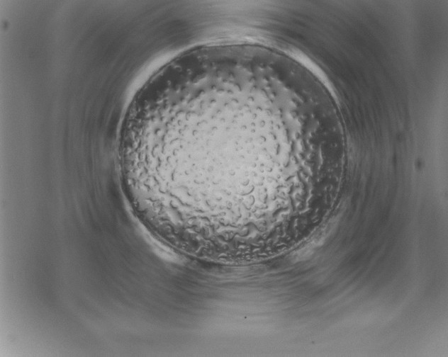 X0000078261485200611101022