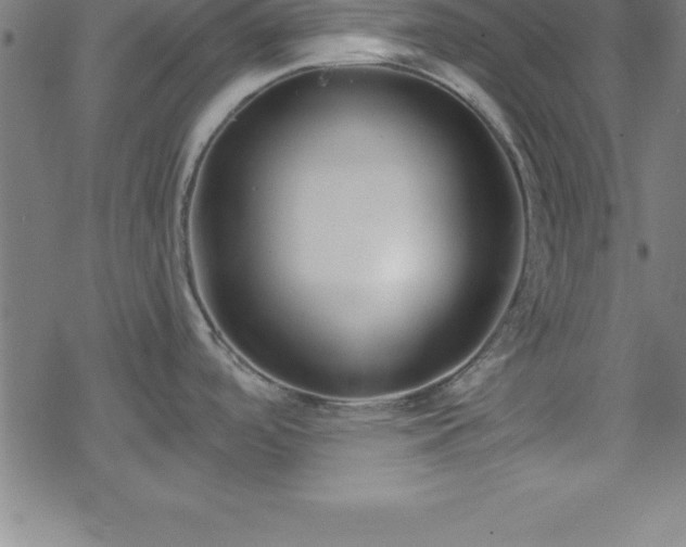 X0000078261488200611101022