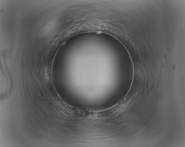 X0000078261490200611101022