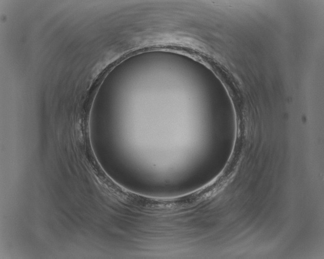 X0000078261497200611101022