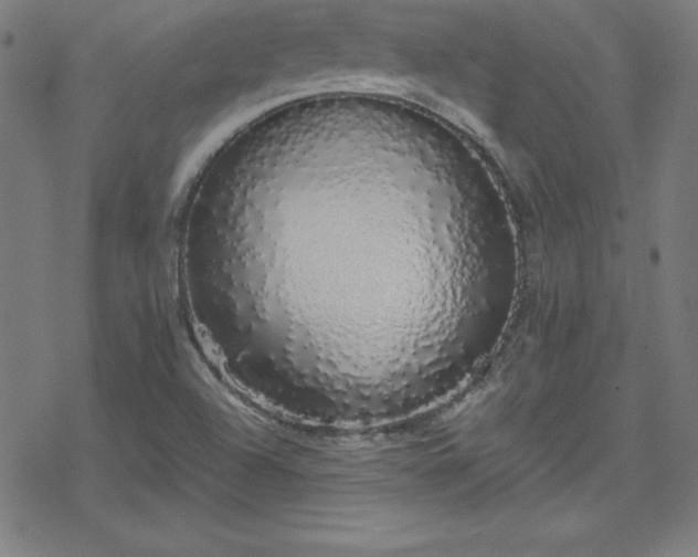 X0000078261504200611101022
