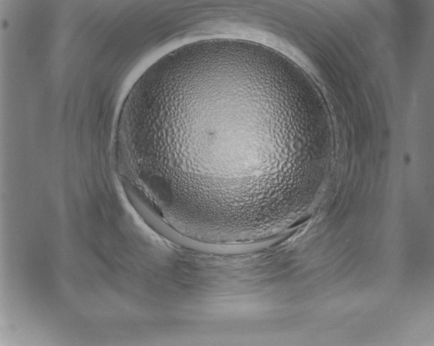 X0000078261536200611101022