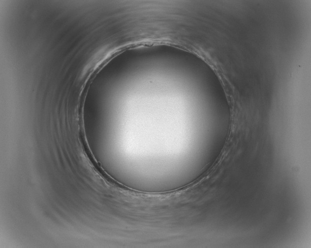 X0000078260002200611172017