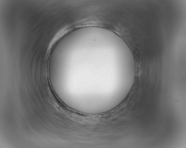 X0000078260004200611172017