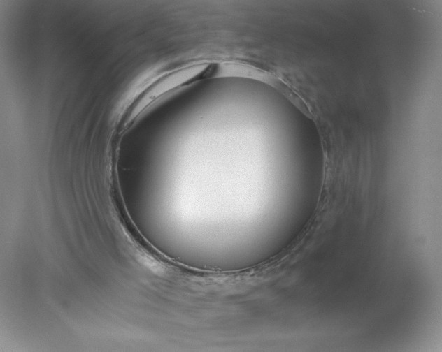 X0000078260005200611172017