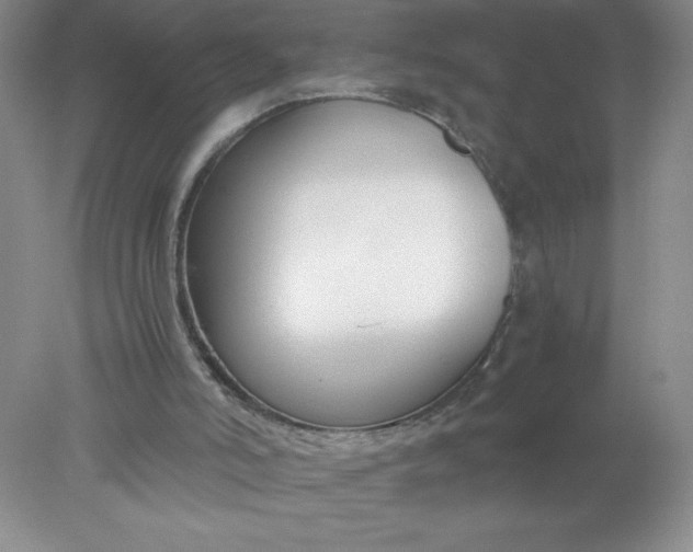 X0000078260006200611172017