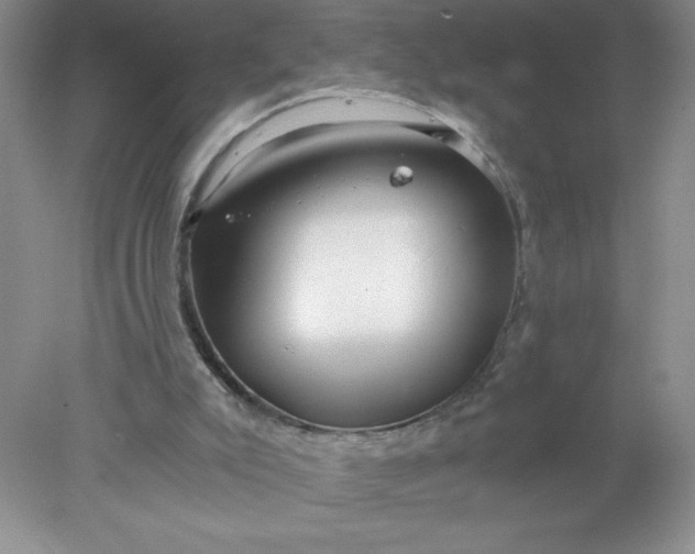 X0000078260007200611172017