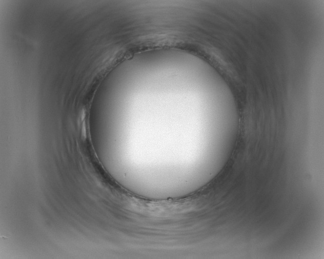 X0000078260022200611172016