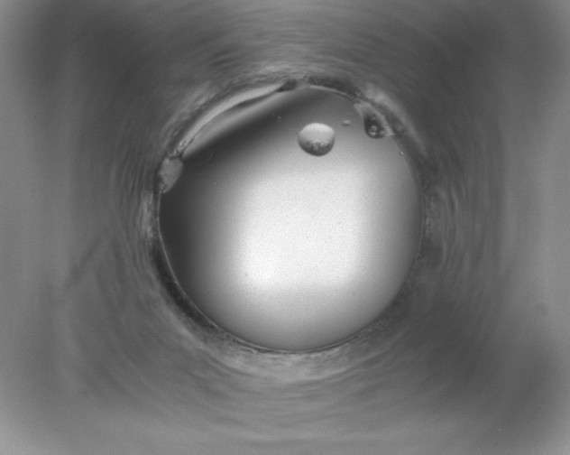 X0000078260023200611172016