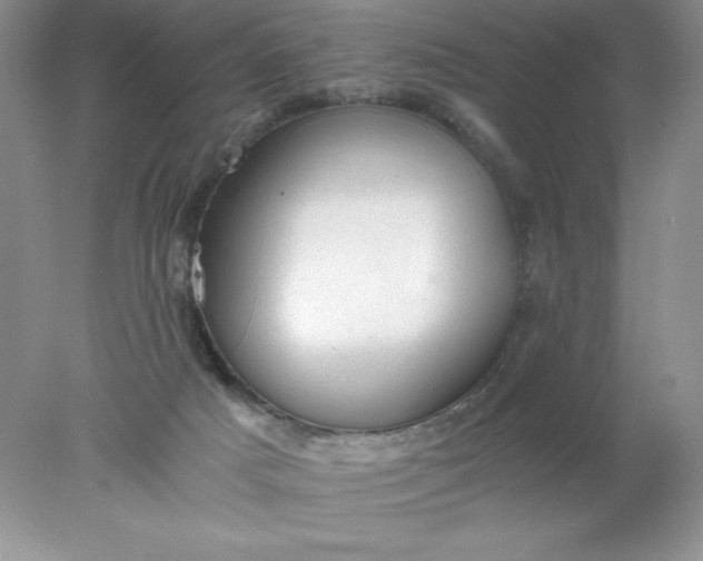 X0000078260025200611172016
