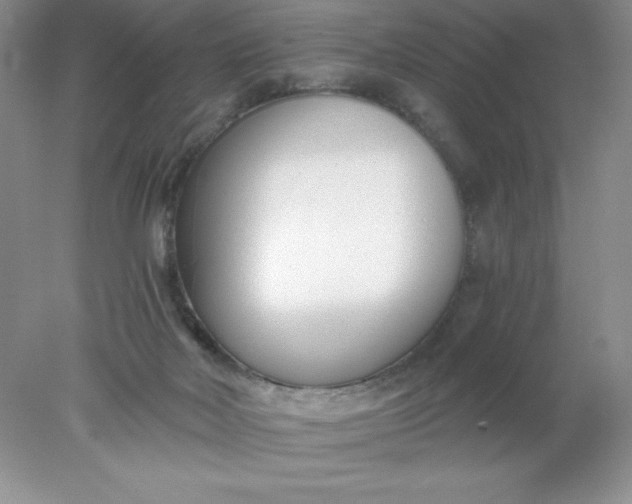 X0000078260026200611172016