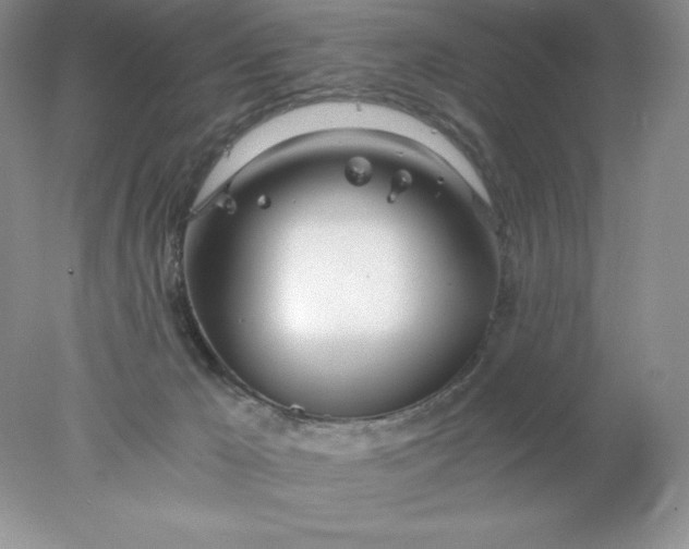 X0000078260029200611172016