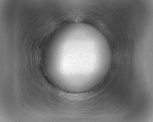 X0000078260030200611172016