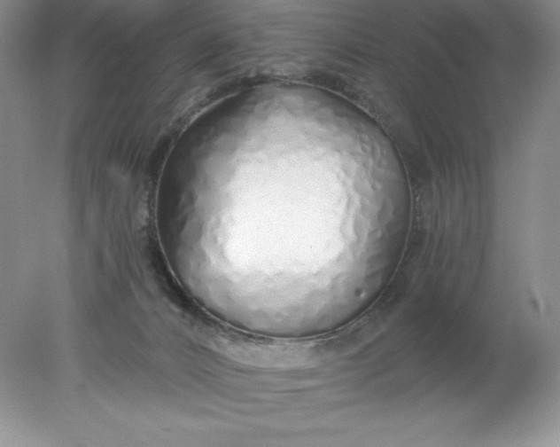 X0000078260032200611172016