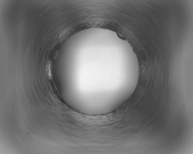 X0000078260042200611172016