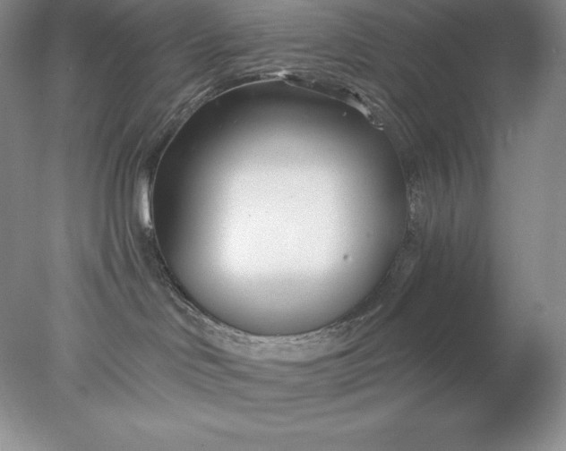 X0000078260046200611172016