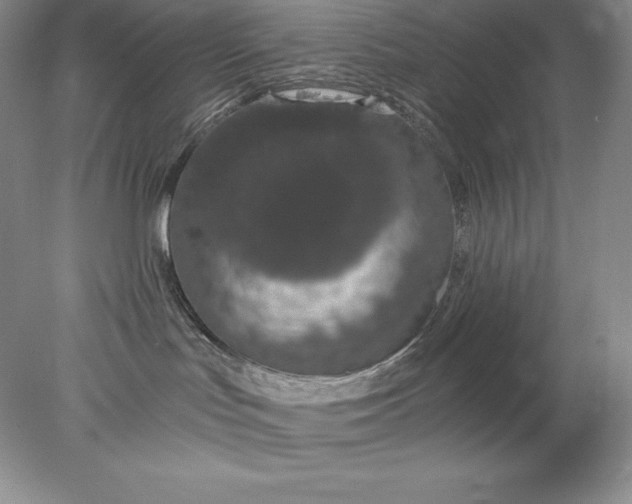 X0000078260047200611172016