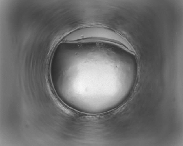 X0000078260049200611172015