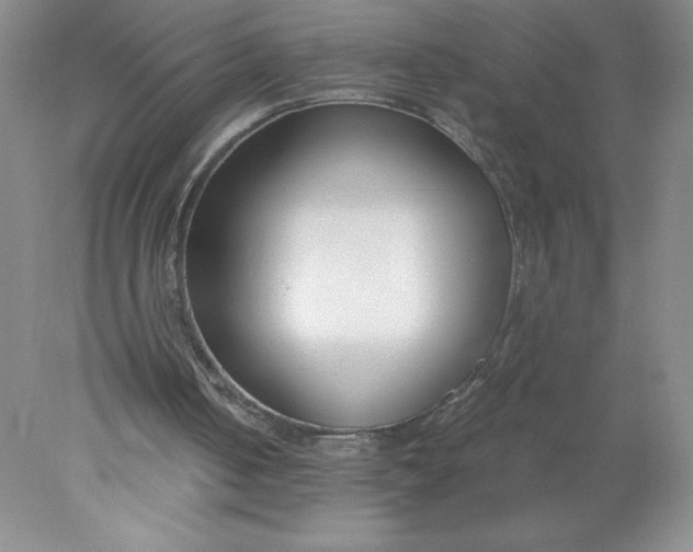 X0000078260050200611172015