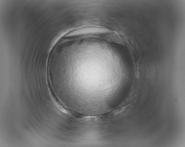 X0000078260052200611172015