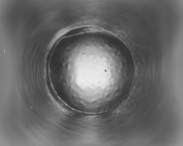 X0000078260054200611172015
