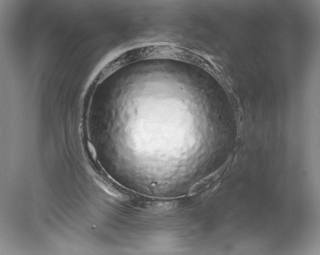 X0000078260056200611172015