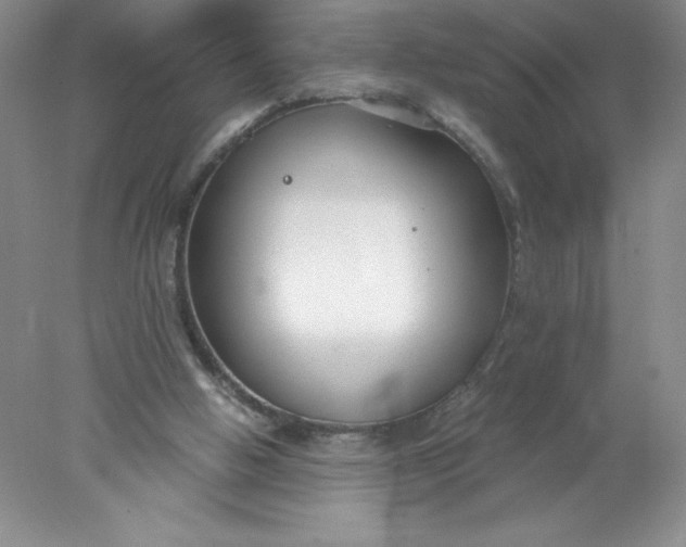X0000078260058200611172015