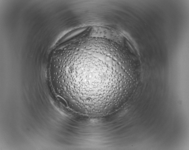 X0000078260060200611172015