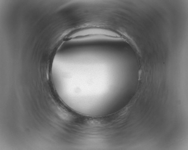 X0000078260062200611172015