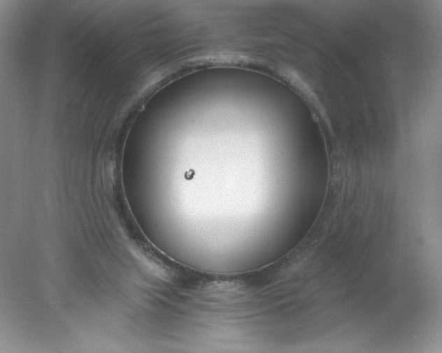 X0000078260063200611172015