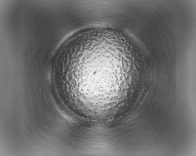 X0000078260064200611172015