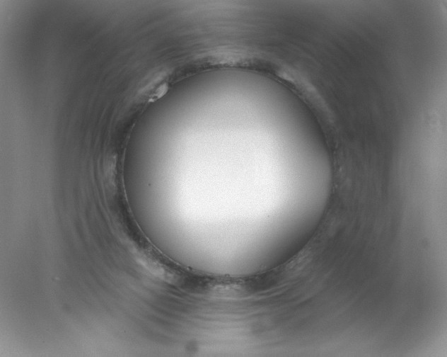 X0000078260066200611172015