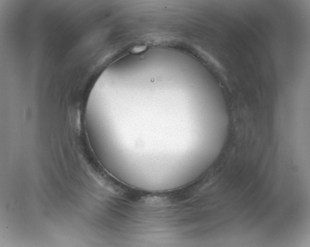 X0000078260067200611172015