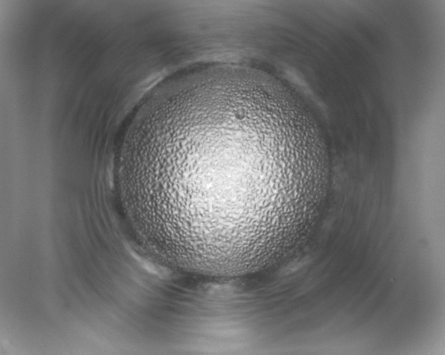 X0000078260068200611172015