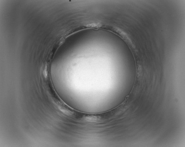 X0000078260069200611172015