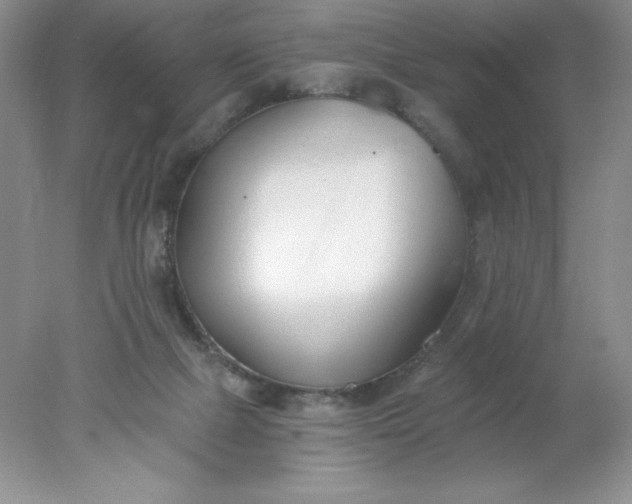 X0000078260073200611172015