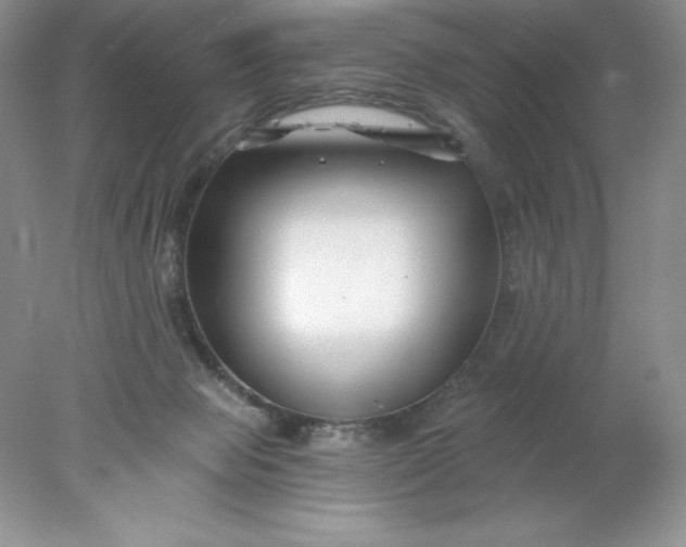 X0000078260077200611172015