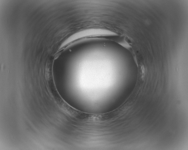 X0000078260080200611172016