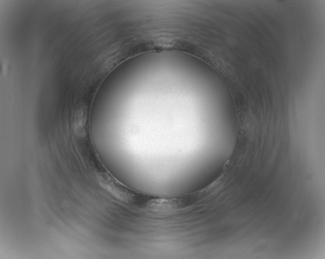 X0000078260082200611172016