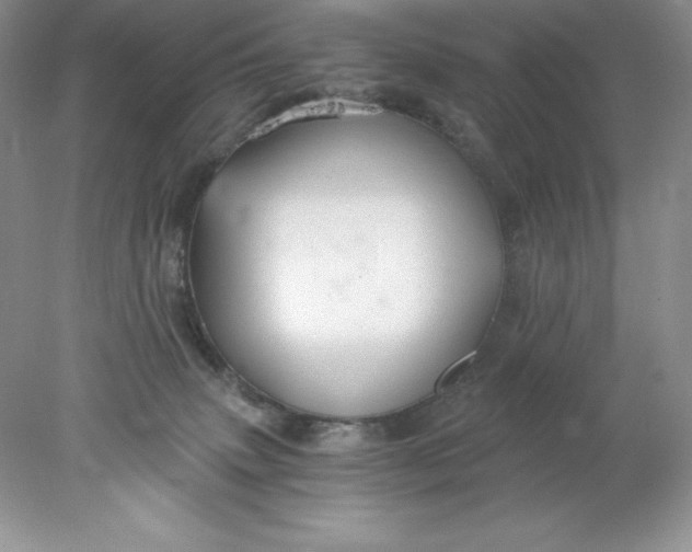 X0000078260083200611172016