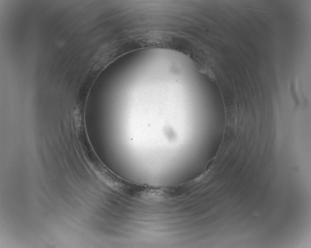 X0000078260086200611172016