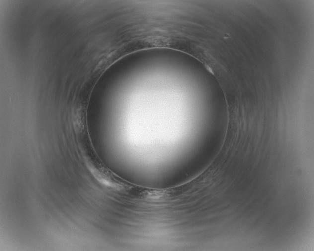 X0000078260088200611172016