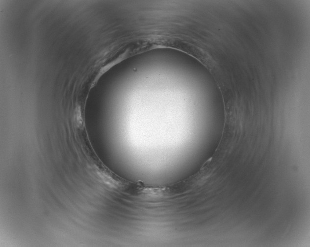 X0000078260089200611172016