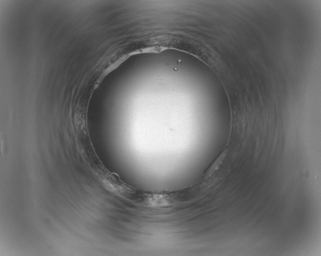 X0000078260091200611172016