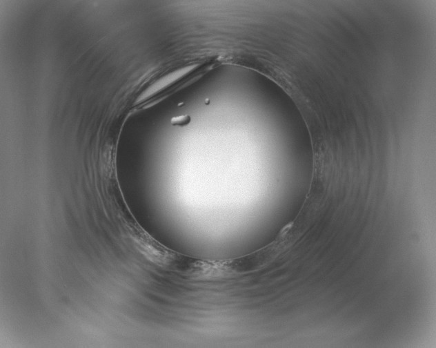 X0000078260093200611172016