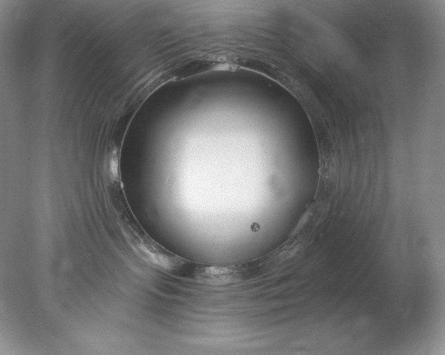 X0000078260095200611172016