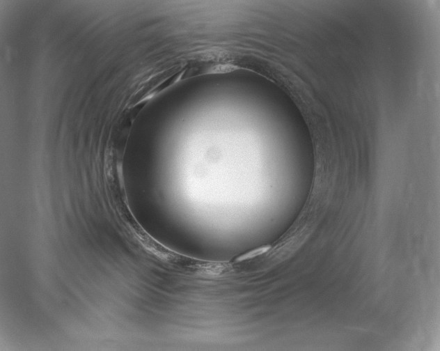 X0000078260096200611172016