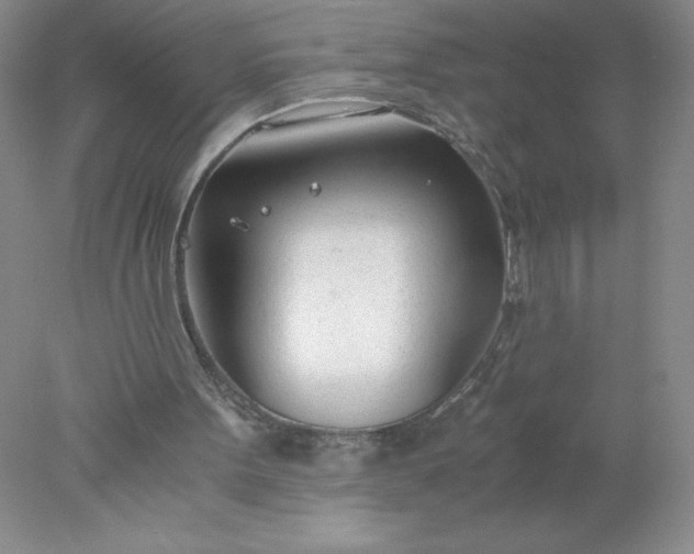 X0000078260099200611172015