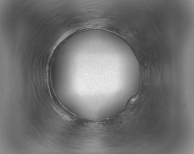 X0000078260100200611172015